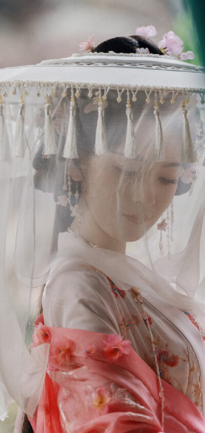 陈瑶《水龙吟》西方桃