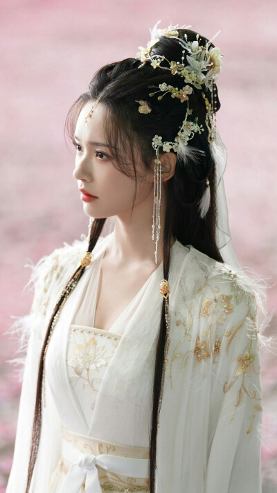 水龙吟 阿谁 林允