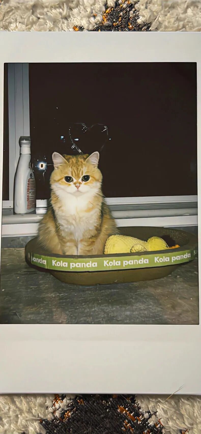 我是不会放弃收集这种图片的