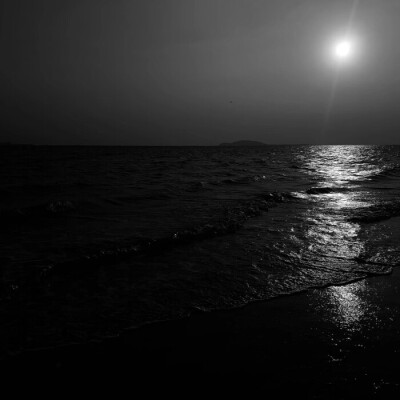 ：PlannedAccident（蓄谋的意外）
