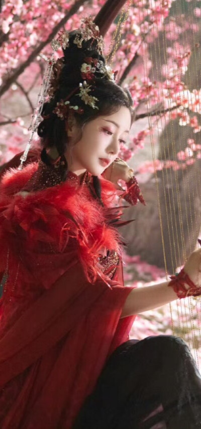 姜贞羽《水龙吟》红姑娘