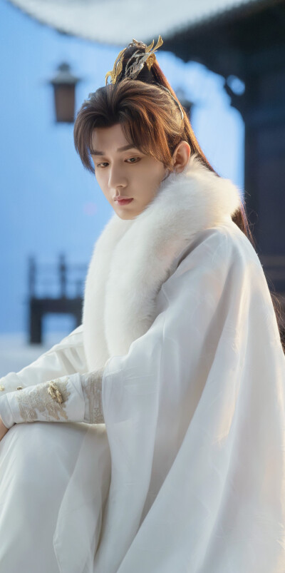 成毅《天地剑心》王权富贵