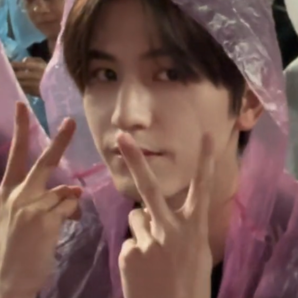 樱花是春天的回信落在你的发间