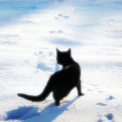 我是不会放弃收集这种图片的