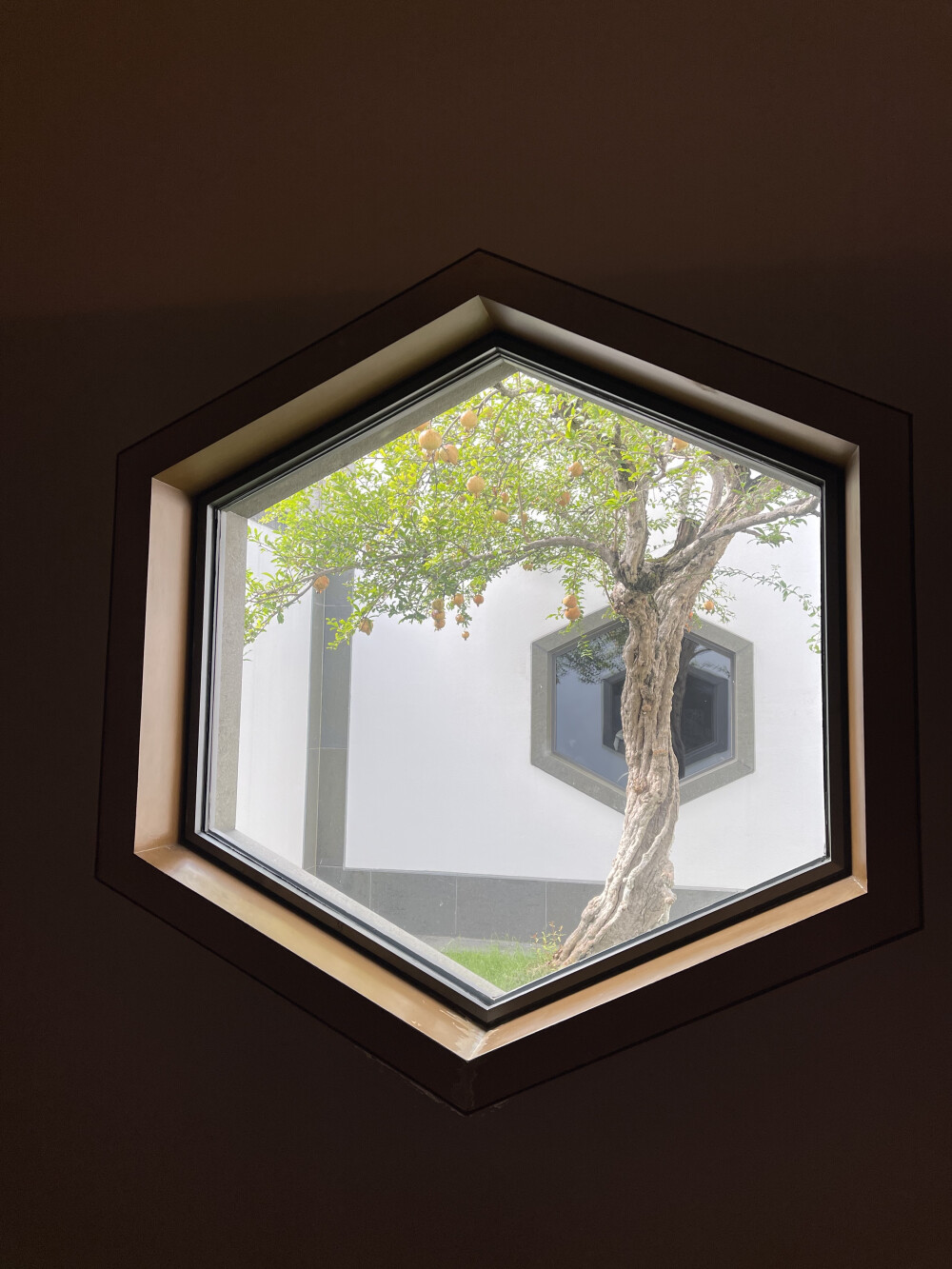 苏州博物馆一角