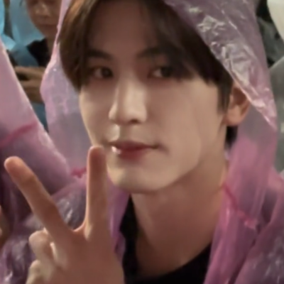 樱花是春天的回信落在你的发间