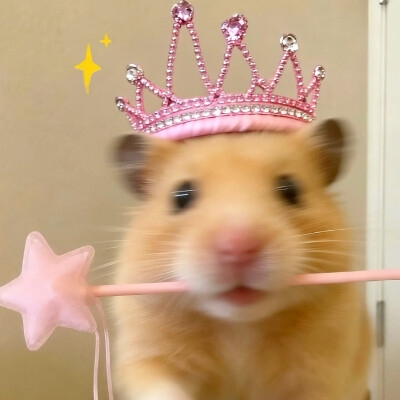 图源ks：偷喝汽水