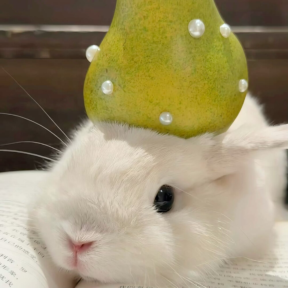 图源ks：偷喝汽水