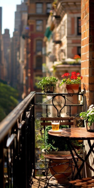 穿梭在城市的缝隙里，高楼林立间，不经意会发现生活的诗意。你会看见都市人心中对自然的温柔守望——一盆花、一杯茶、一缕斜阳，皆是日常里的浪漫注脚。