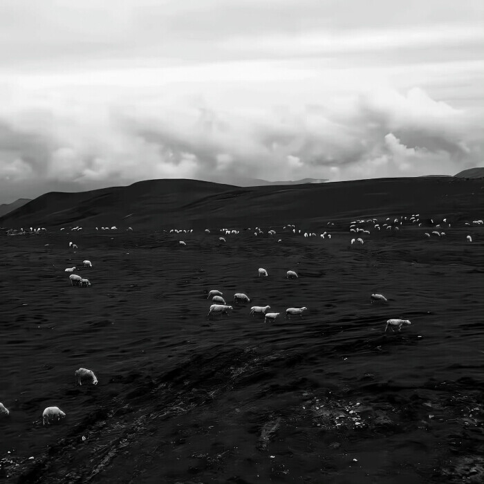 ：Answer in the barrel of a gun
