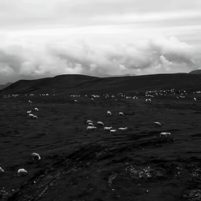 ：Answer in the barrel of a gun
