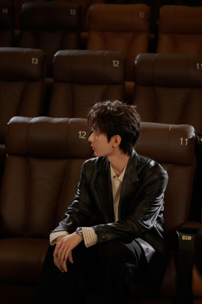 成毅王权富贵现代版