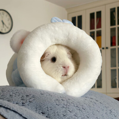 图源ks：偷喝汽水