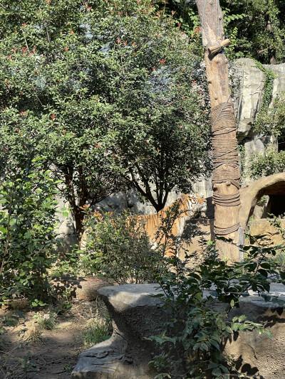 南京红山森林动物园