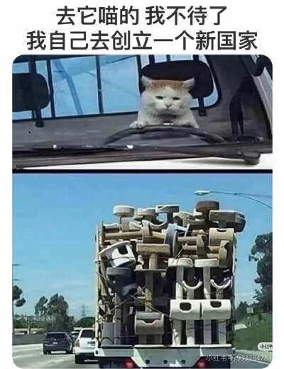 我是不会放弃收集这种图片的