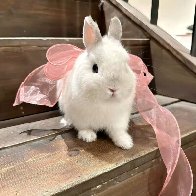 图源ks：偷喝汽水