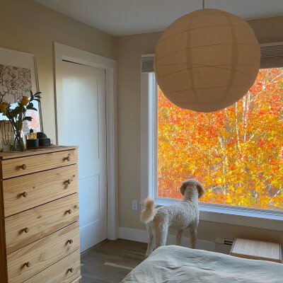 图源ks：偷喝汽水