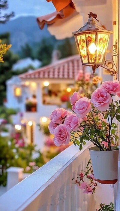 穿梭在城市的缝隙里，高楼林立间，不经意会发现生活的诗意。你会看见都市人心中对自然的温柔守望——一盆花、一杯茶、一缕斜阳，皆是日常里的浪漫注脚。