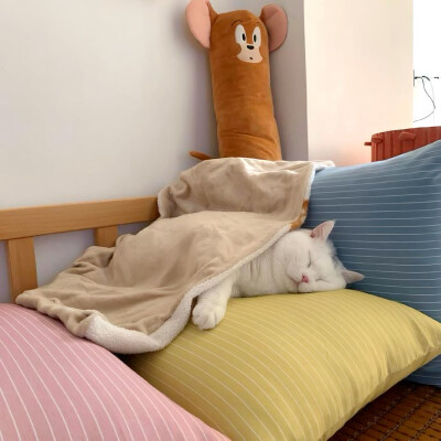 图源ks：偷喝汽水