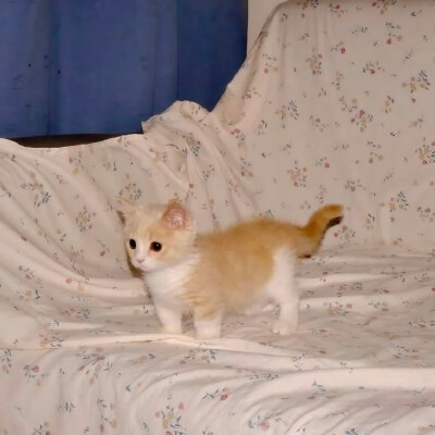 图源ks：偷喝汽水