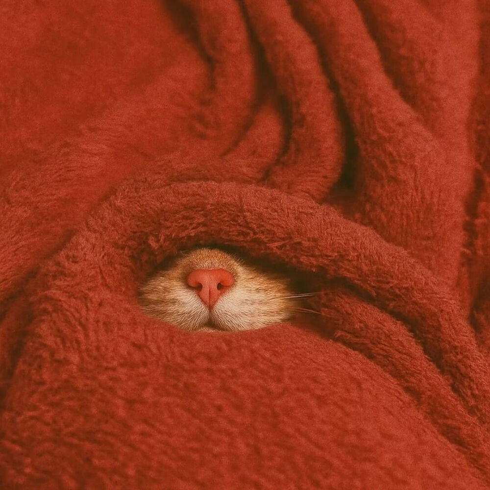 ‎#ليس قوة خارقة