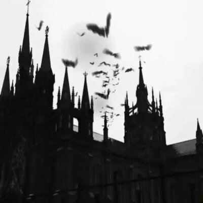 ：Answer in the barrel of a gun
