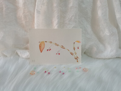 43 卫矛（绘画 | 水彩 | 果花甘05）
2018.09.27
清朗的枝叶，在秋日转黄。烤焦了面包外皮似的，烘焙出一个完整的叶缘。
枝头挂着零星的、垂丝的吊饰，勾钓往来于枝桠间的秋意。
素索细碎，仿佛一捻就能灰飞烟灭，因…