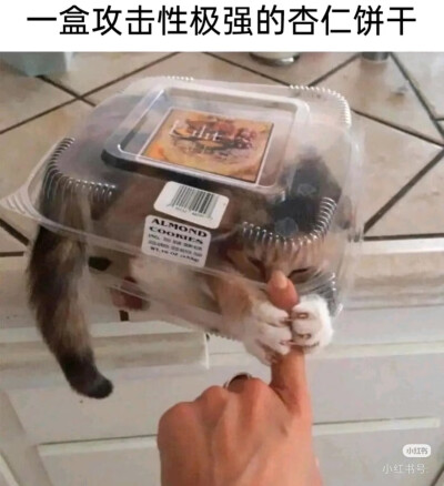 我是不会放弃收集这种图片的