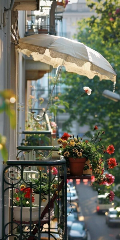 穿梭在城市的缝隙里，高楼林立间，不经意会发现生活的诗意。你会看见都市人心中对自然的温柔守望——一盆花、一杯茶、一缕斜阳，皆是日常里的浪漫注脚。