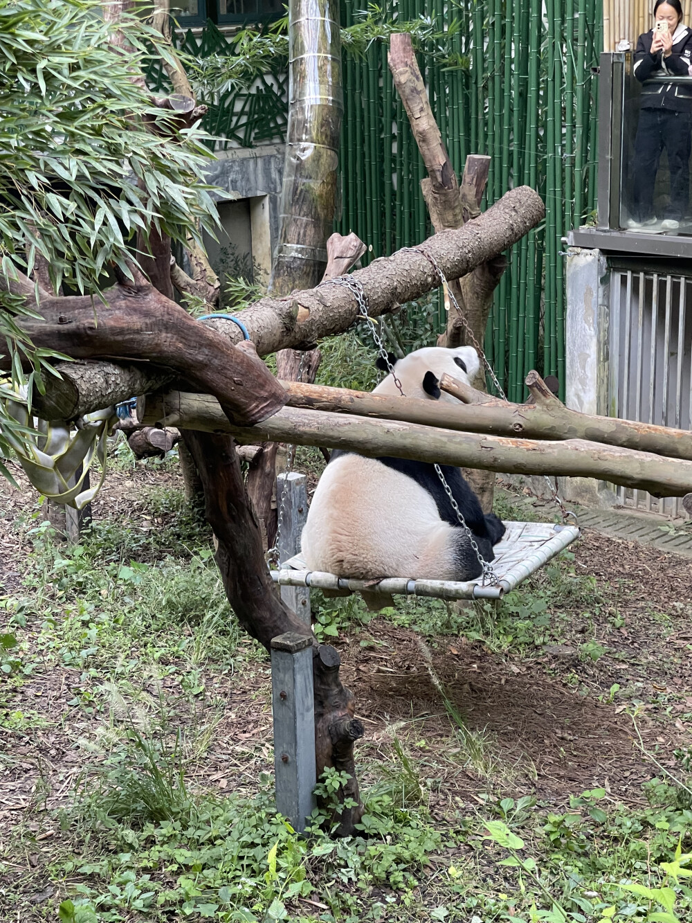 南京红山森林动物园