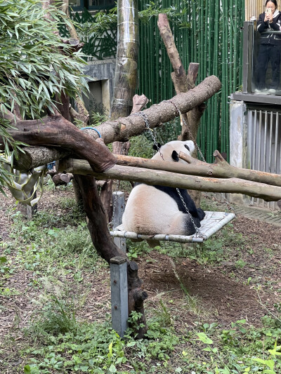 南京红山森林动物园