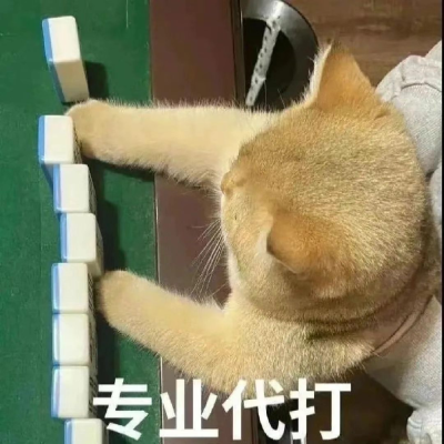 猫猫表情包
