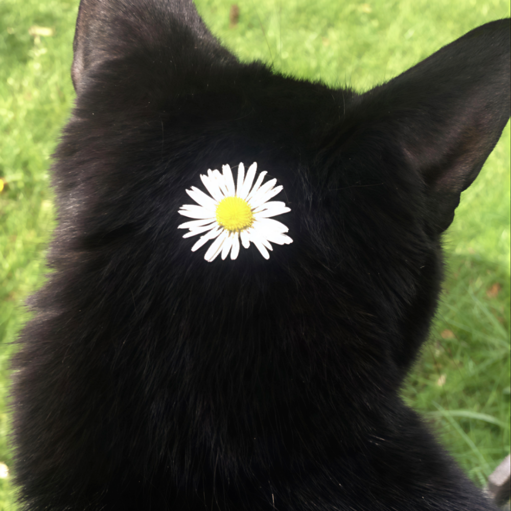 ‎#ليس قوة خارقة