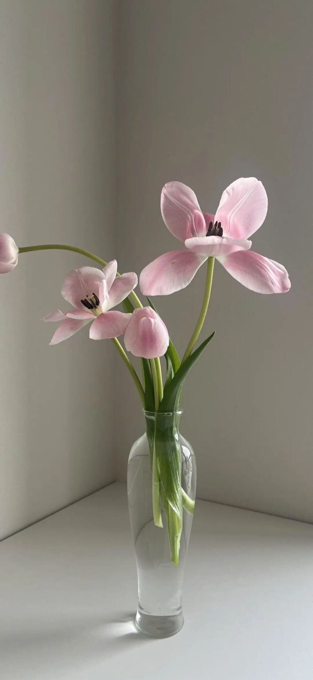 ‎#ليس قوة خارقة