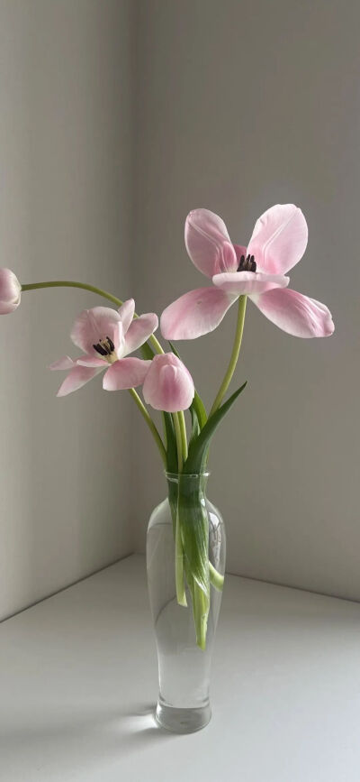 ‎#ليس قوة خارقة