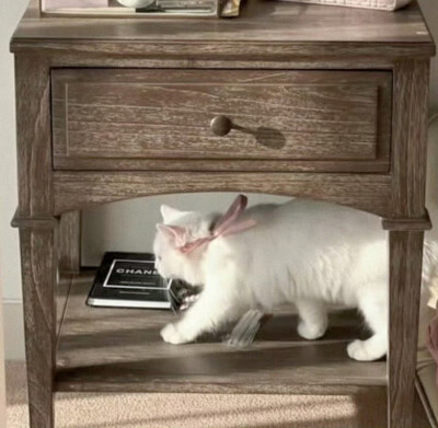 大家好图上是我本人