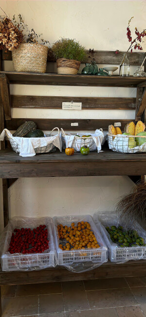 会有人撕开灰色送给你晴空っ⩊＜｡
#小清新壁纸#