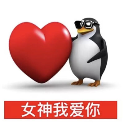 企鹅表情包