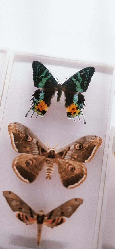 ‎#ليس قوة خارقة