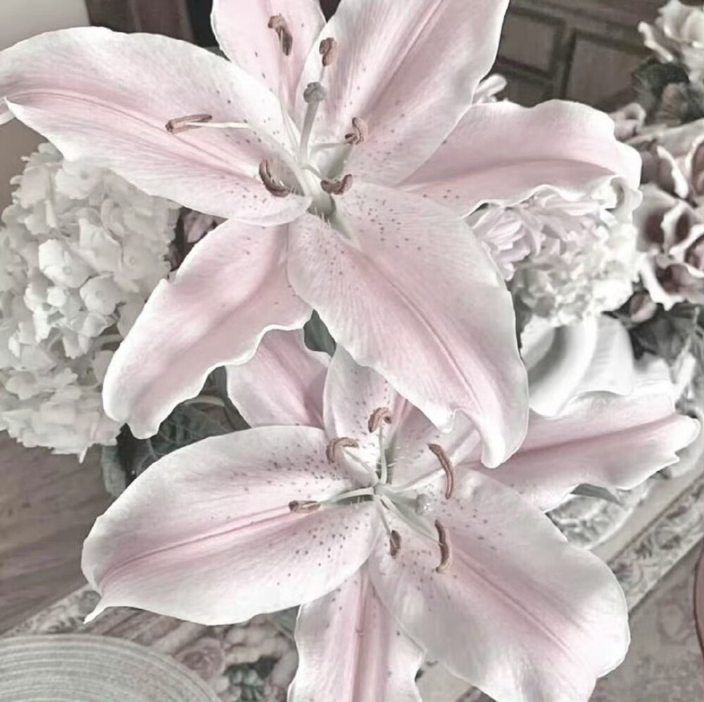 微光在窗外 有虞书欣来~ ^_^