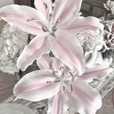 微光在窗外 有虞书欣来~ ^_^