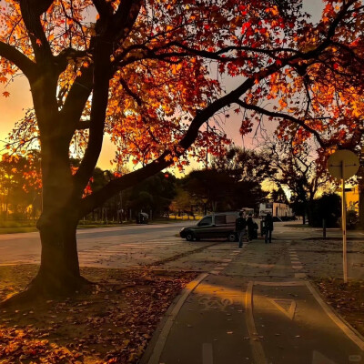 ✧˚₊ ‧ 朋友圈背景图