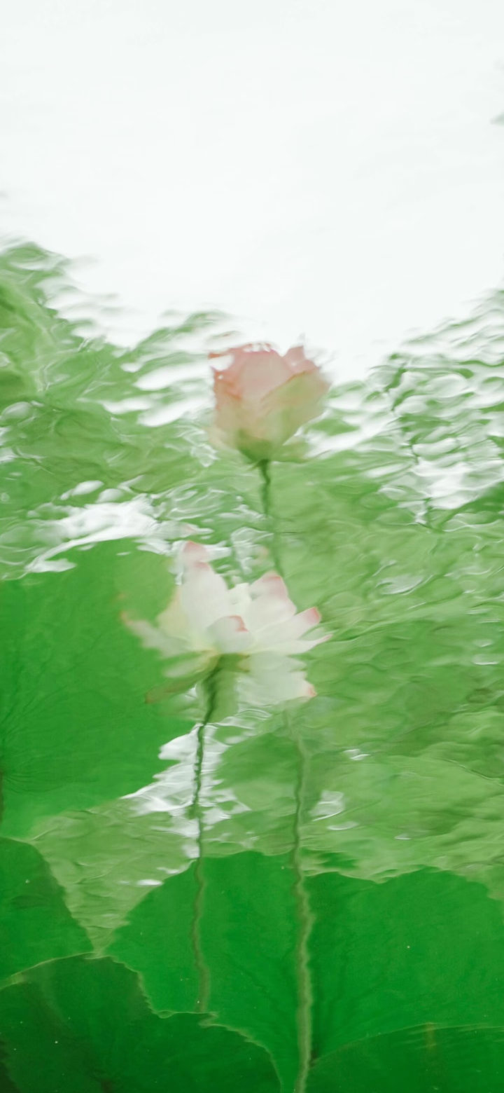 ‎#ليس قوة خارقة