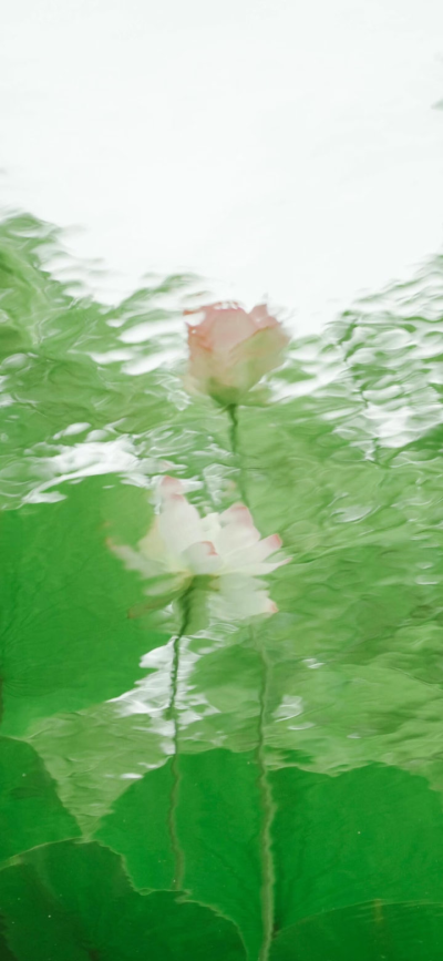 ‎#ليس قوة خارقة