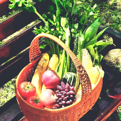 亲爱的藤井树小姐 今天我在富士山 山顶为你飘落了一片雪 而此刻我正喜欢着你 喜欢得全世界的森林一起倒下那么喜欢