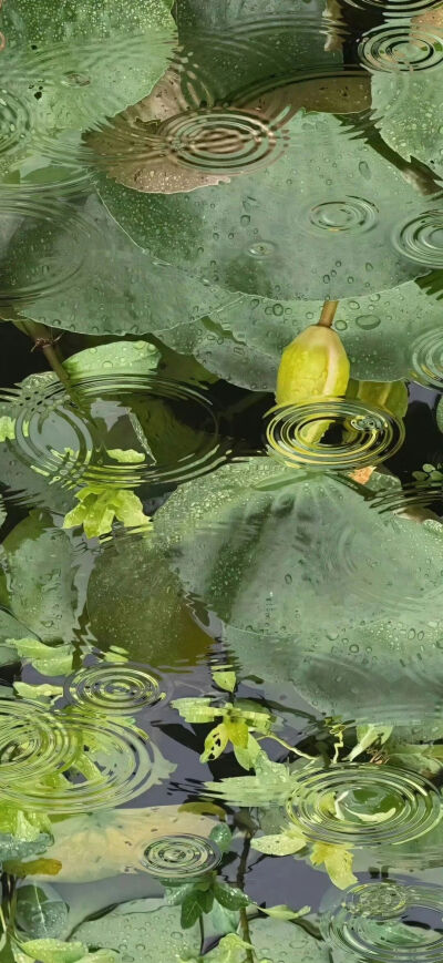 ‎#ليس قوة خارقة