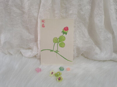 44 蛇莓（绘画 | 水彩 | 果花甘05）
2018.10.23
蛇莓，大概是蛇的草莓吧。
匍匐的藤越过土丘，在林地蜿蜒蛇行。举起一捧明亮的火把，蛇莓照耀一个雨天。
叶片温柔地挥手，竖起幸运草的扇子，给出一个爱的抱抱。