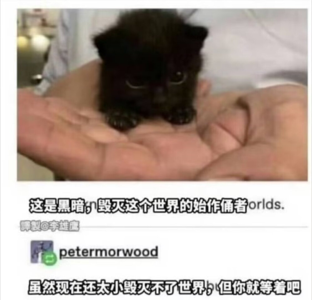 如果幸福是片，我准备去码头整点薯条