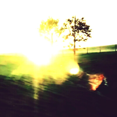 亲爱的藤井树小姐 今天我在富士山 山顶为你飘落了一片雪 而此刻我正喜欢着你 喜欢得全世界的森林一起倒下那么喜欢