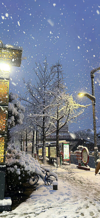 手机壁纸｜聊天背景图